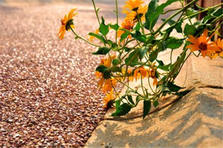 黑龍江自考小知識(shí)