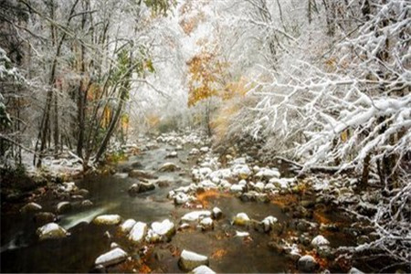 黑龍江自考大專好考嗎？