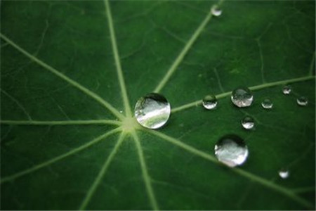 黑龍江自考學(xué)歷好找工作嗎?