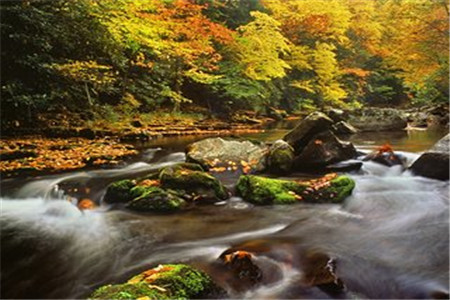 黑龍江自考研究生和統招研究生一樣嗎?