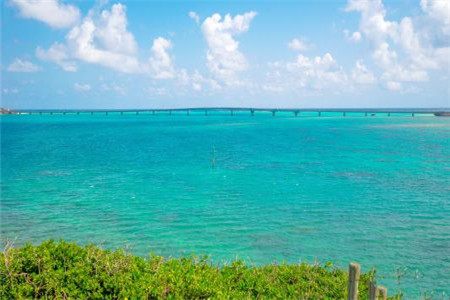 黑龍江自考成績可以保留幾年?