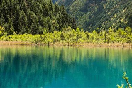 黑龍江自考本科還不如大專嗎?