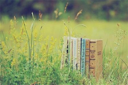 黑龍江自考本科和獨(dú)立本科有什么區(qū)別?