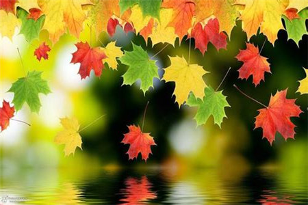 黑龍江自考本科找工作難嗎？