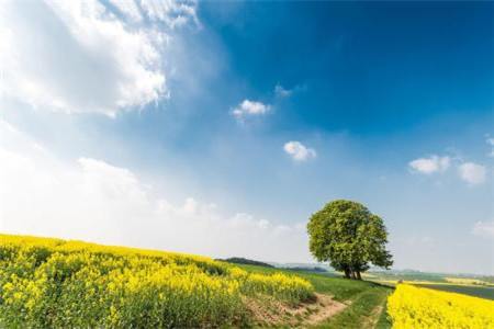 黑龍江自考本科學位證重要嗎?