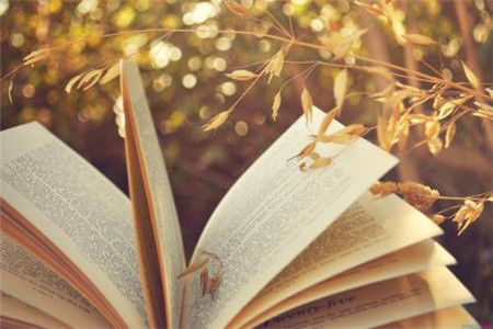 雙鴨山自考本科需要幾年?